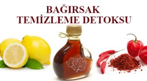 BAĞIRSAK DETOKSU NASIL YAPILIR ?